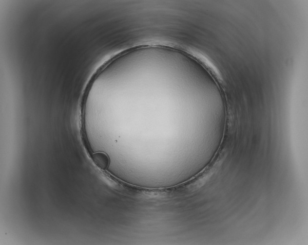 X0000111481040200907210944
