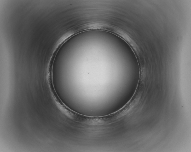 X0000111481042200907210944