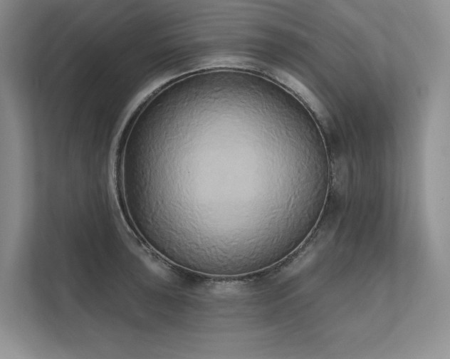 X0000111481043200907210944