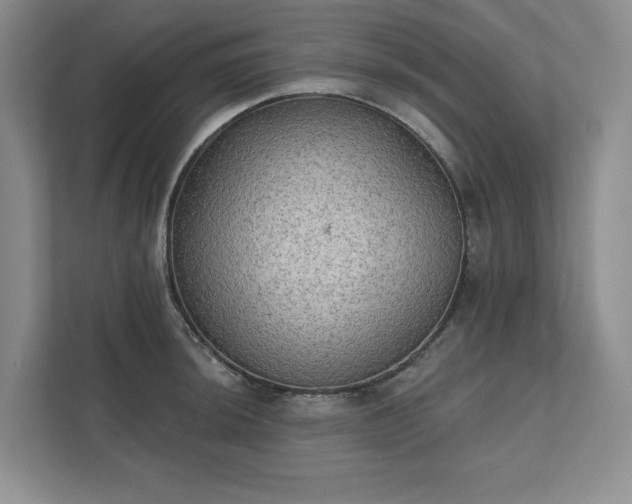 X0000111481044200907210944