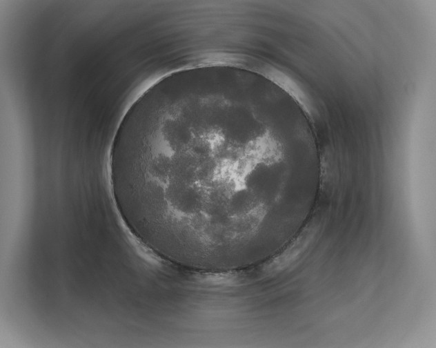 X0000111481047200907210944
