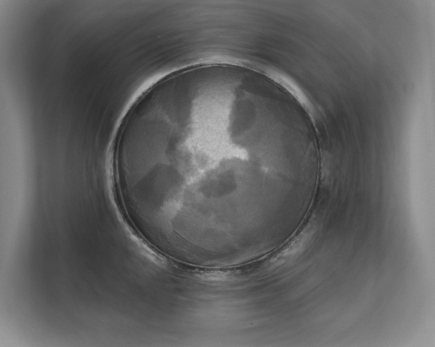 X0000111481048200907210944