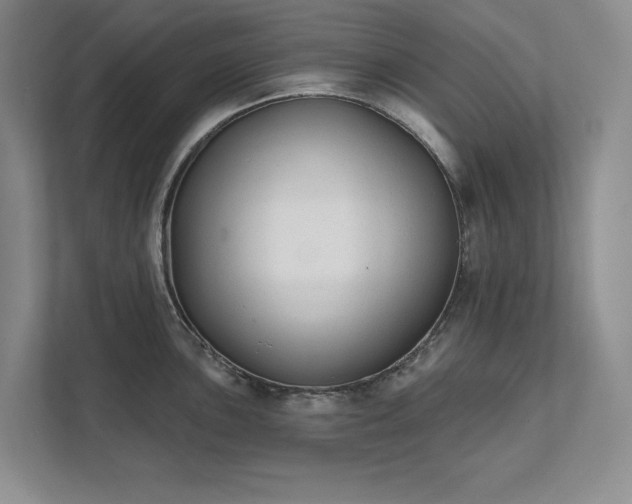 X0000111481051200907210944
