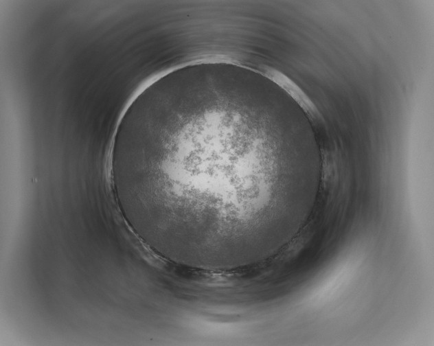 X0000111481052200907210945