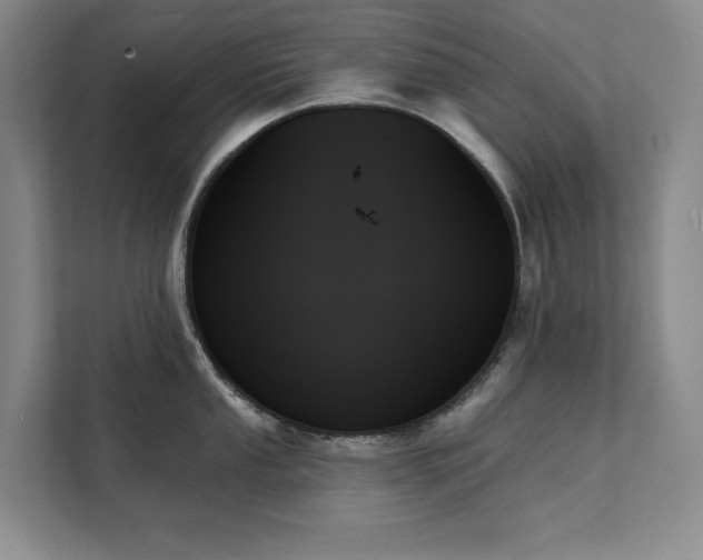 X0000111481053200907210945