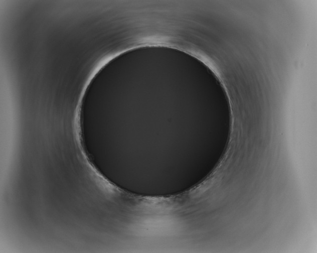 X0000111481056200907210945