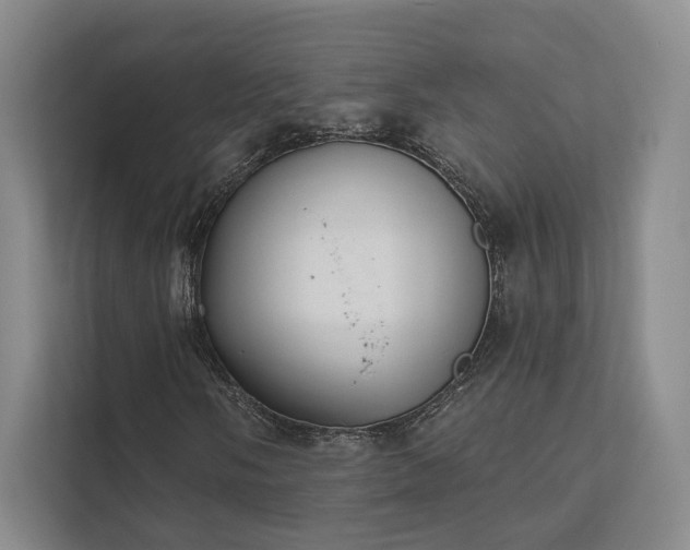 X0000111481058200907210944
