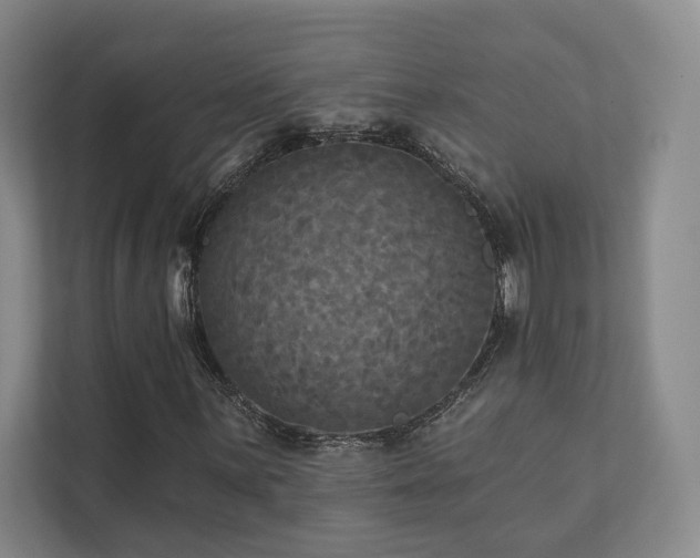 X0000111481059200907210944