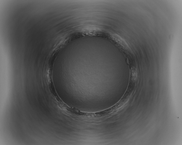 X0000111481060200907210944