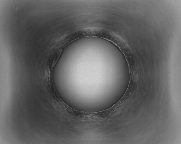 X0000111481061200907210944