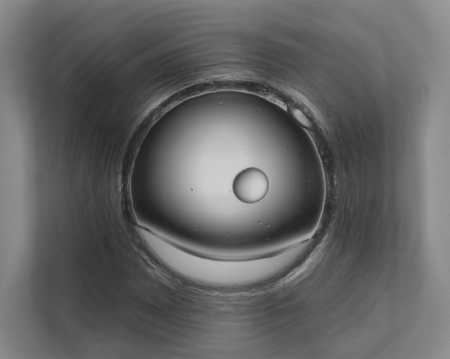 X0000111481065200907210944