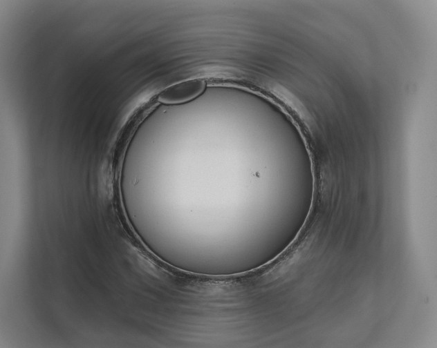 X0000111481067200907210944
