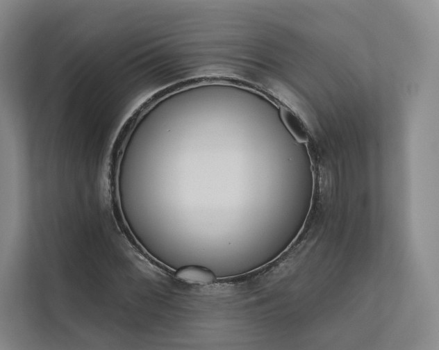 X0000111481068200907210944