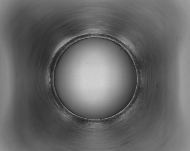 X0000111481070200907210944