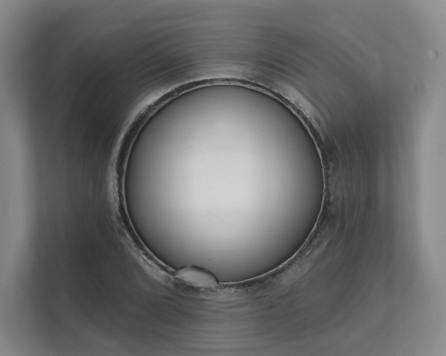 X0000111481072200907210944