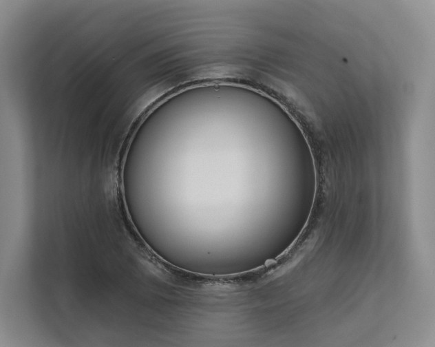 X0000111481073200907210944