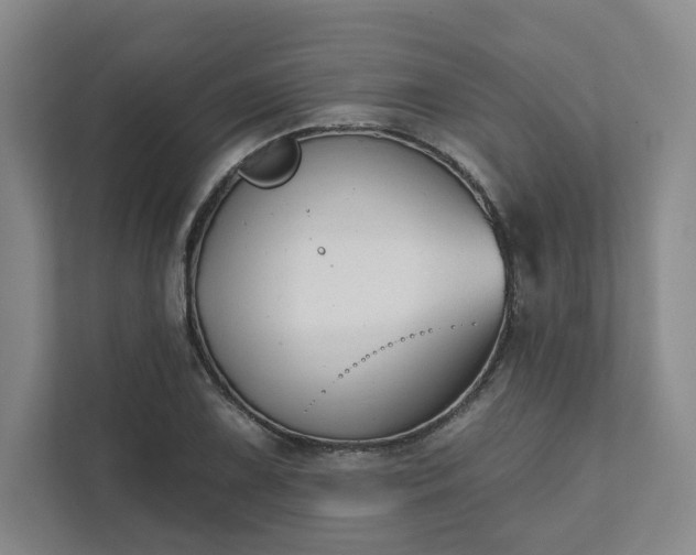 X0000111481075200907210944