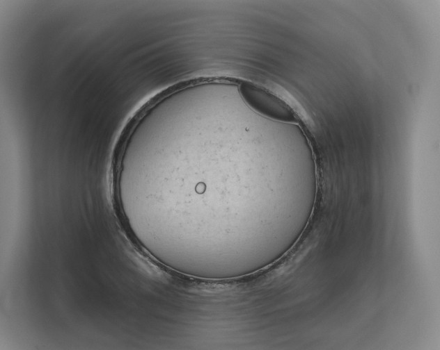 X0000111481076200907210944