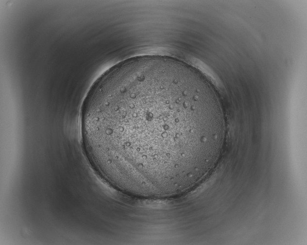 X0000111481079200907210944