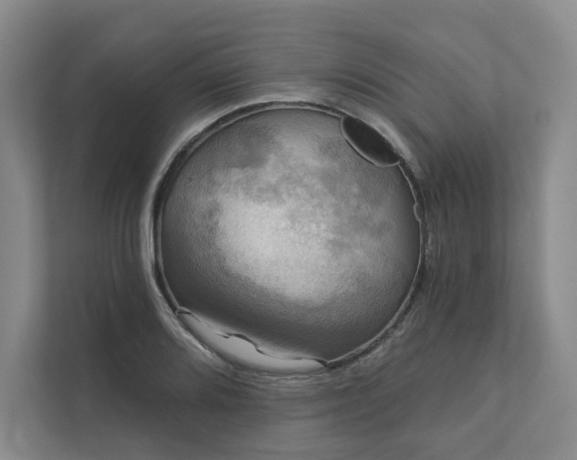 X0000111481080200907210944