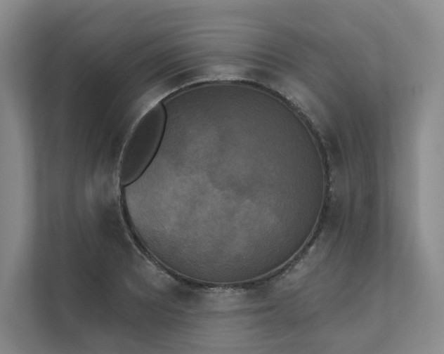 X0000111481081200907210944