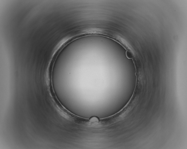 X0000111481082200907210944