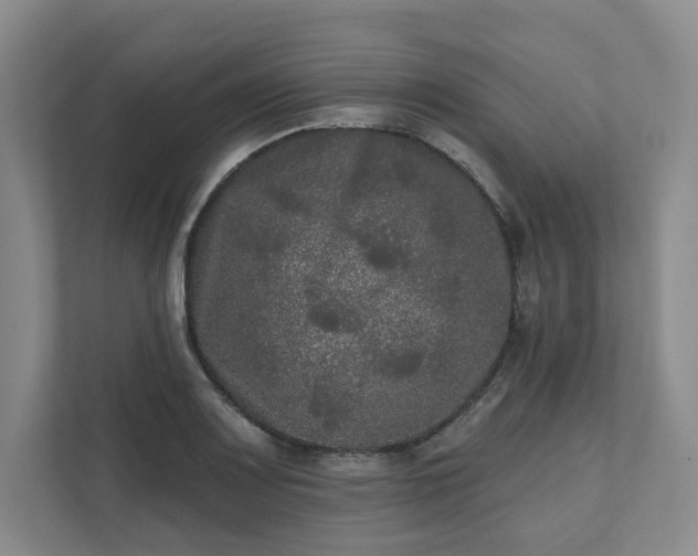 X0000111481083200907210944