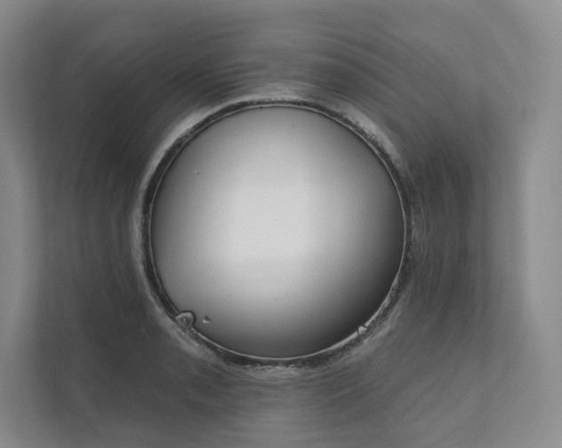 X0000111481085200907210944