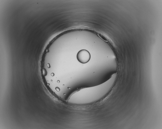X0000111481086200907210944
