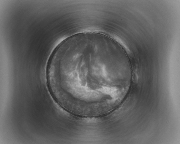 X0000111481087200907210944