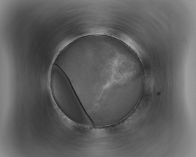 X0000111481088200907210944