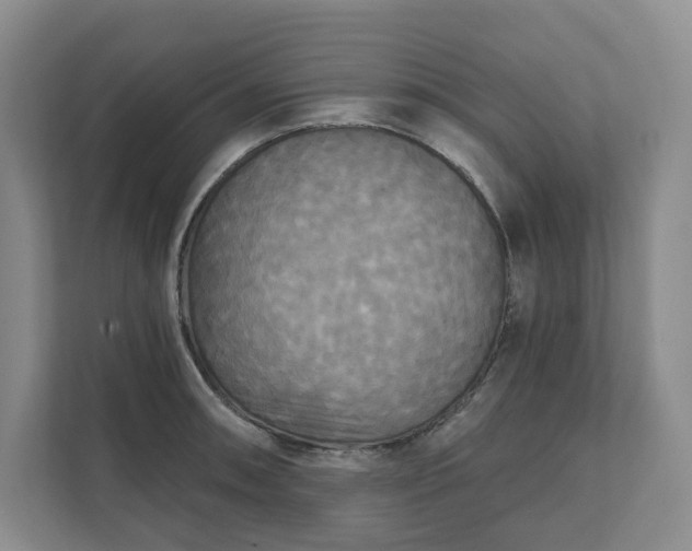 X0000111481090200907210944