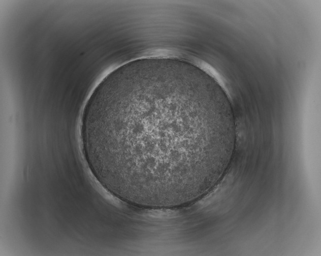 X0000111481091200907210943