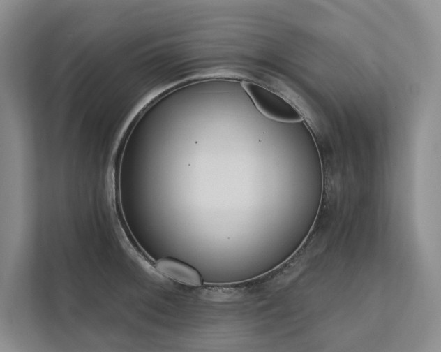X0000111481092200907210943
