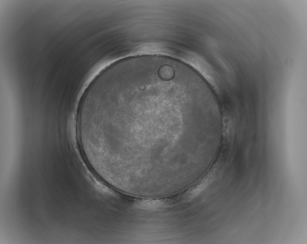 X0000111481094200907210943