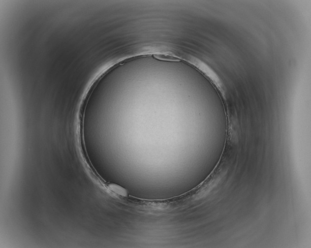 X0000111481096200907210943