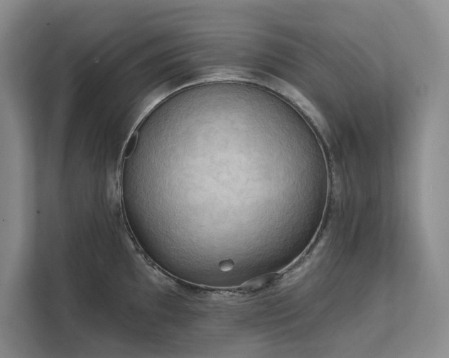 X0000111481097200907210943