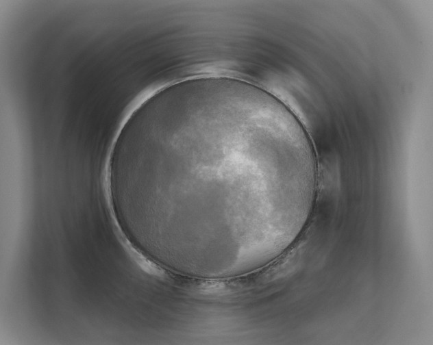 X0000111481098200907210943