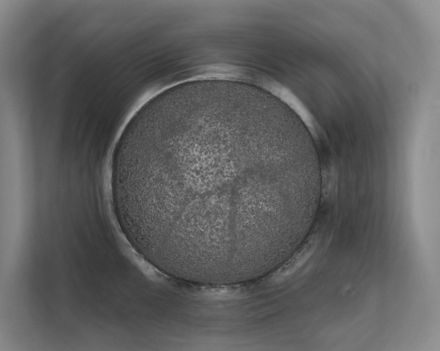 X0000111481099200907210943