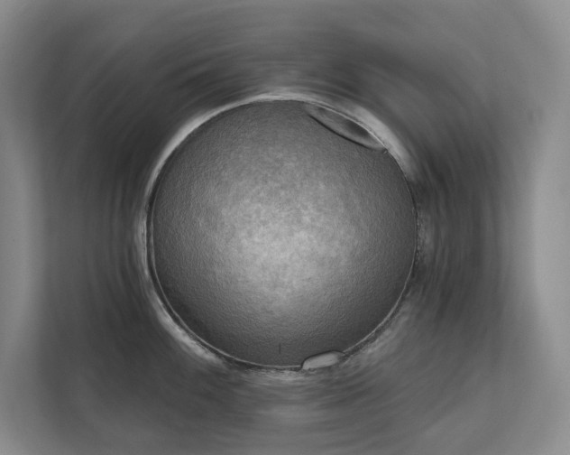 X0000111481100200907210943