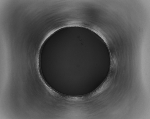 X0000111481101200907210943