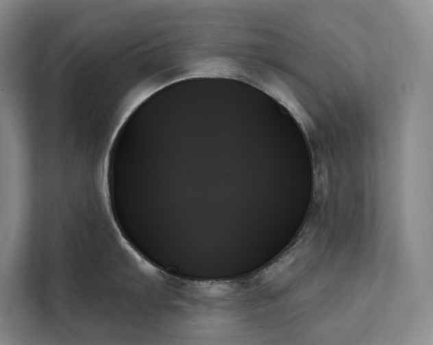 X0000111481103200907210943