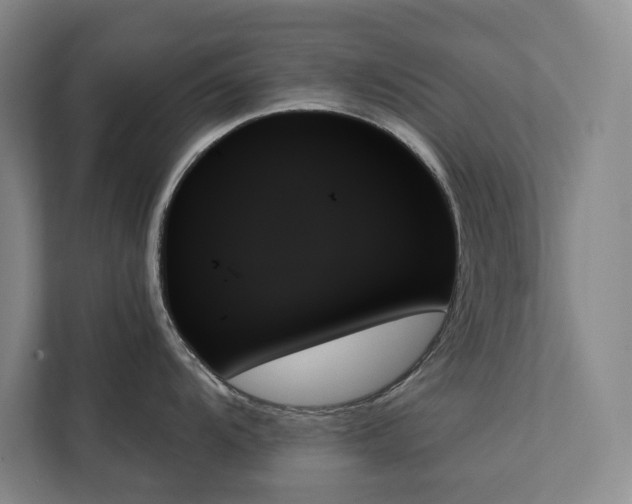X0000111481104200907210943
