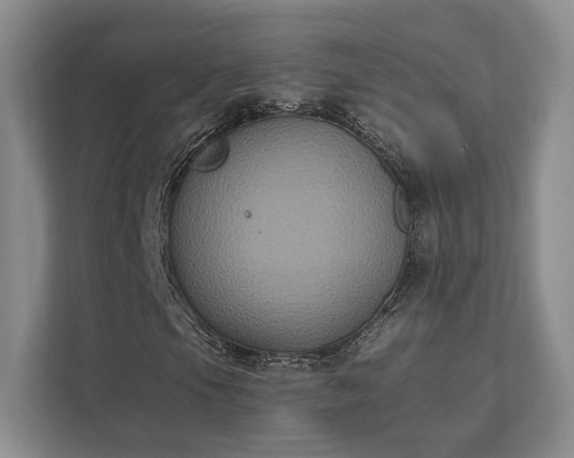 X0000111481105200907210943