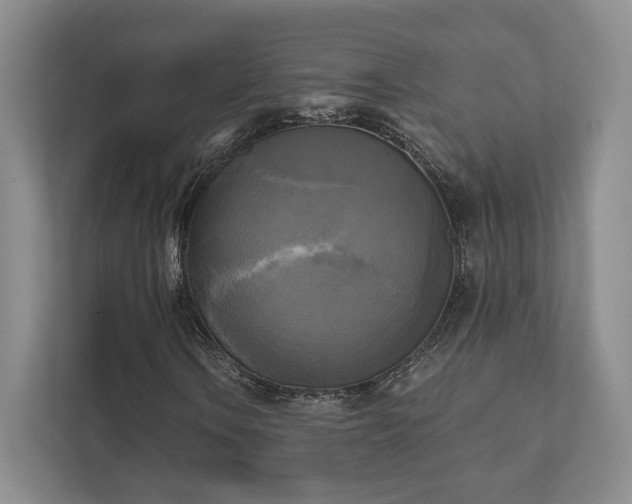 X0000111481106200907210943