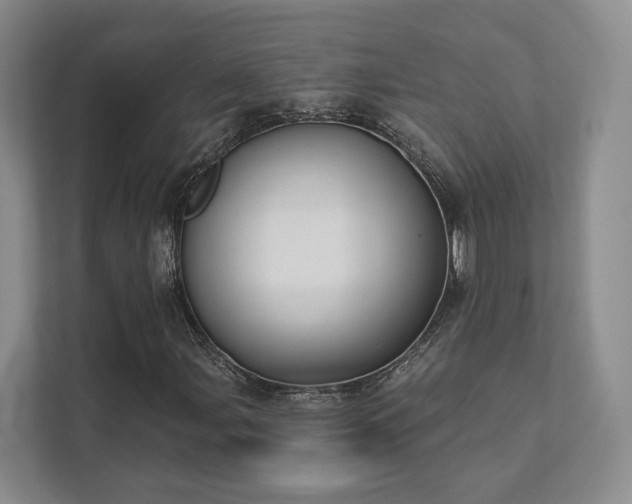 X0000111481107200907210943