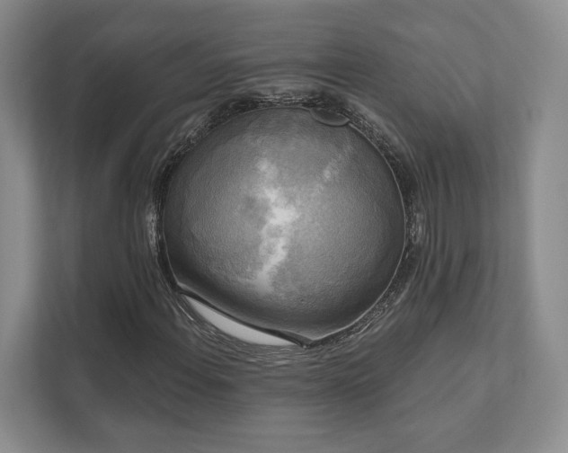 X0000111481108200907210943
