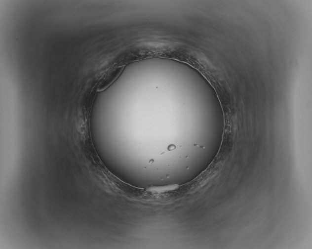 X0000111481109200907210943