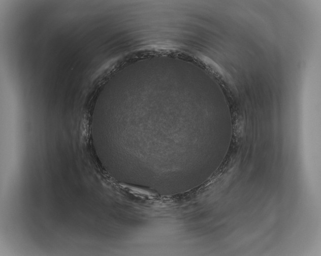 X0000111481110200907210943