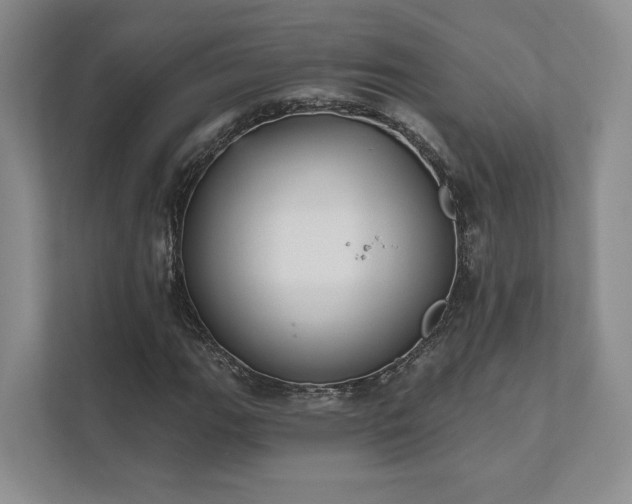X0000111481111200907210943